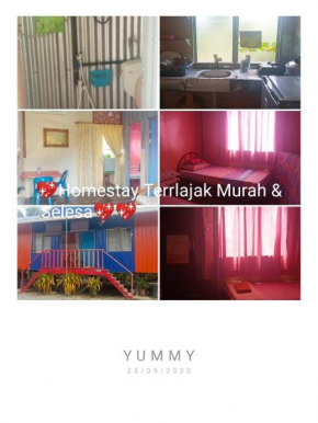 Darvel Bay Homestay
